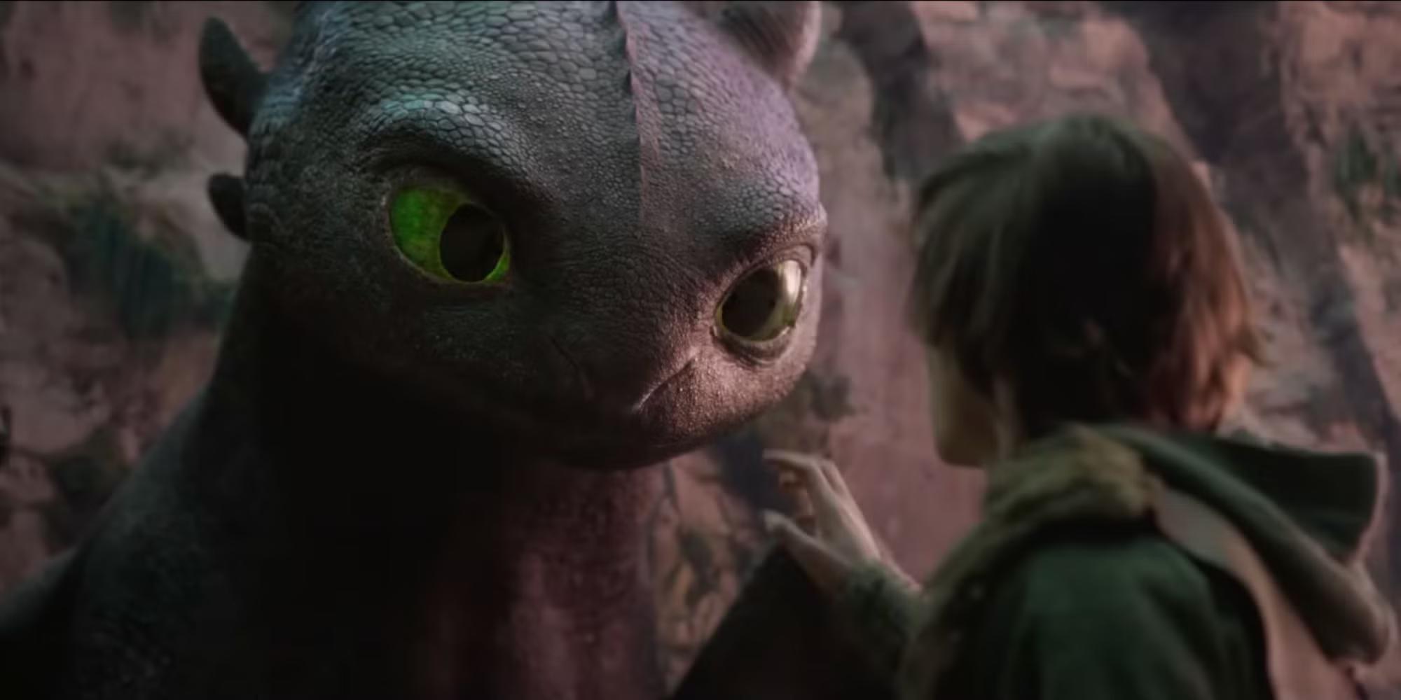 How to Train Your Dragon